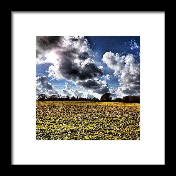 Flowers Framed Print featuring the photograph #field Full Of #dandelions #sky #clouds by Miss Wilkinson