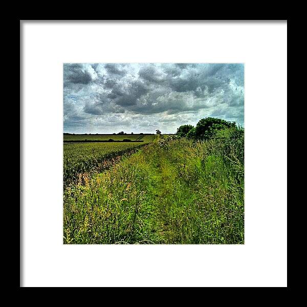 Field Framed Print featuring the photograph Field Walk by Vicki Field
