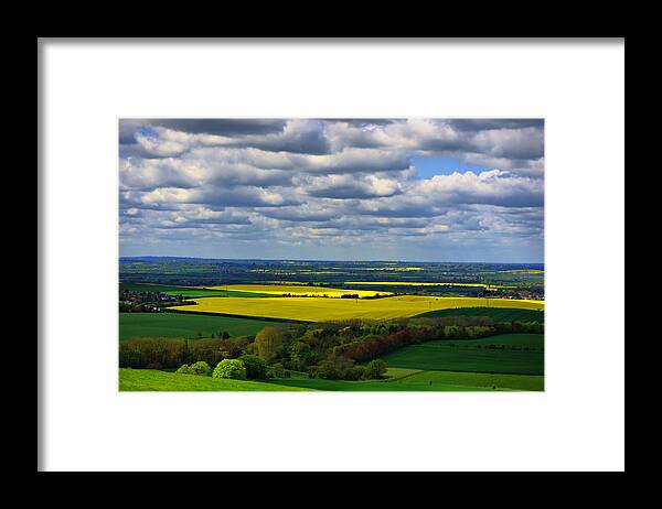 Golden Fields Framed Print featuring the photograph Fields of Gold 2 by Chris Thaxter