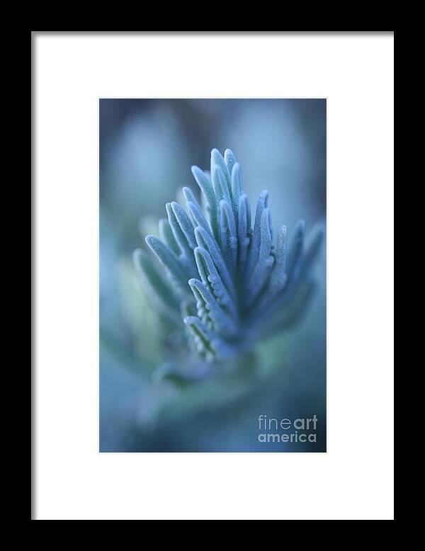 Finger Framed Print featuring the photograph Emergence by Morgan Wright