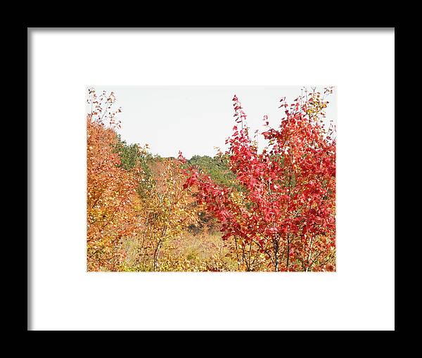 Fire Framed Print featuring the photograph Fire Colors by Kim Galluzzo Wozniak