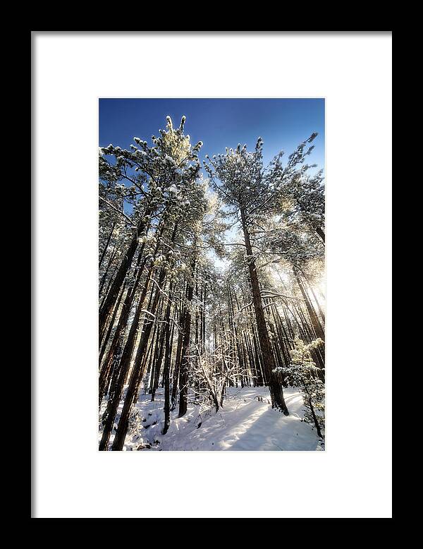 Snow Framed Print featuring the photograph First Snow by Saija Lehtonen