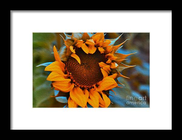Photo Framed Print featuring the photograph Flamy by Jutta Maria Pusl