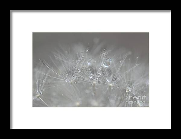  Framed Print featuring the photograph Fleur Cristalline by Sylvie Leandre