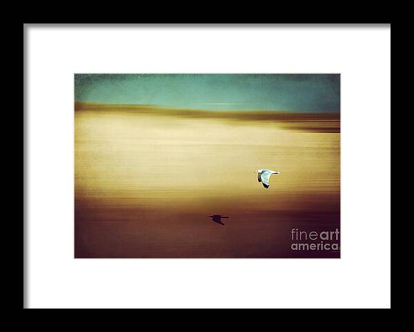 Seagull Framed Print featuring the photograph Flight Over The Beach by Hannes Cmarits