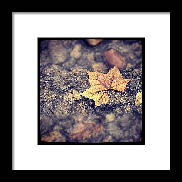 Water Framed Print featuring the photograph Floater by Christopher Baker