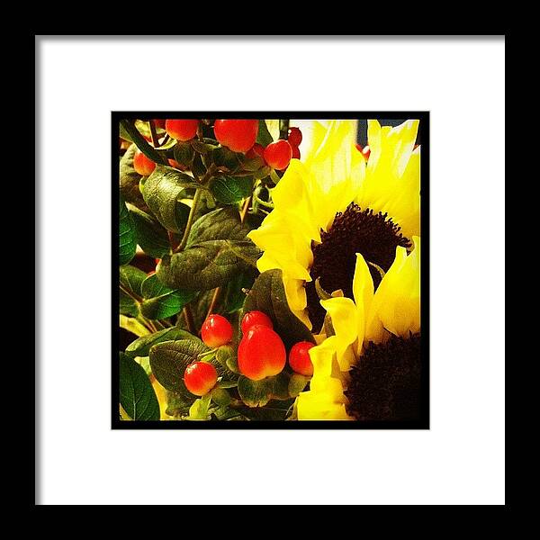 Framed Print featuring the photograph Floral Arrangement For Dummies by Melissa Payne