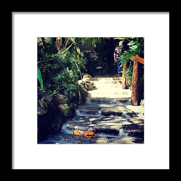 Jupiterbeach Framed Print featuring the photograph #florida #guanabanas #jupiter by S Smithee