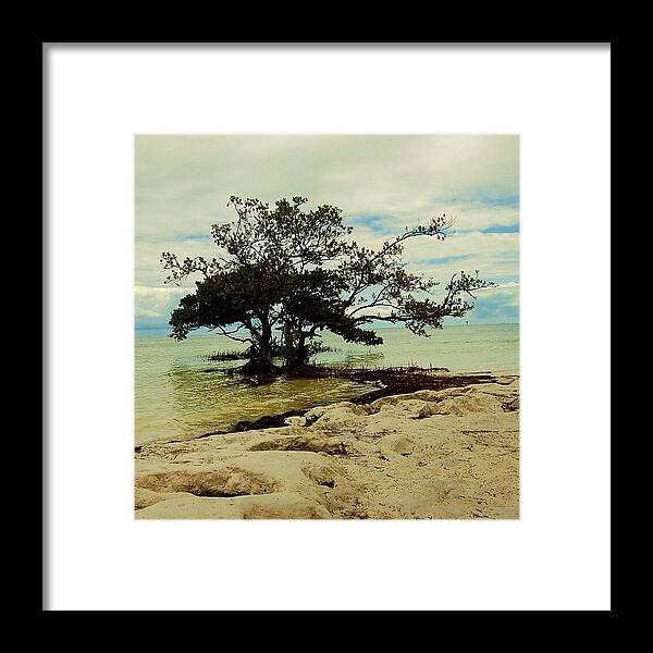 Playa Framed Print featuring the photograph Florida by Joel Lopez