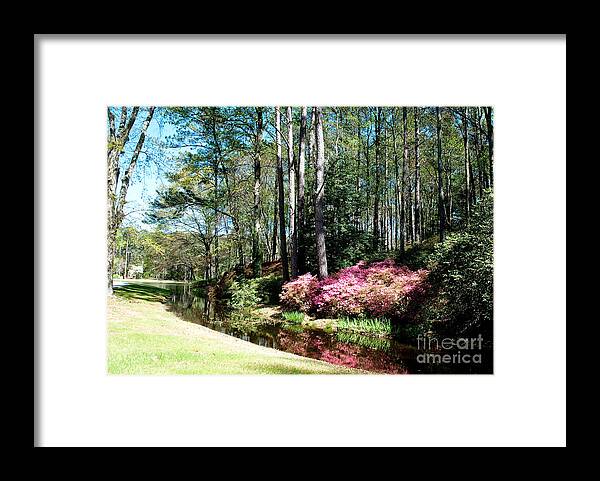 Spring Framed Print featuring the photograph Flower Creek by Shijun Munns