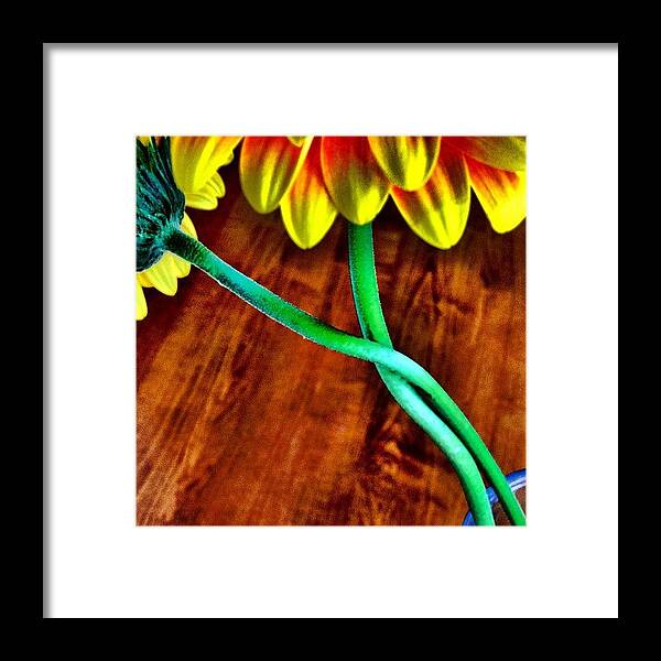 Flower Framed Print featuring the photograph Flower Love by Christopher Campbell