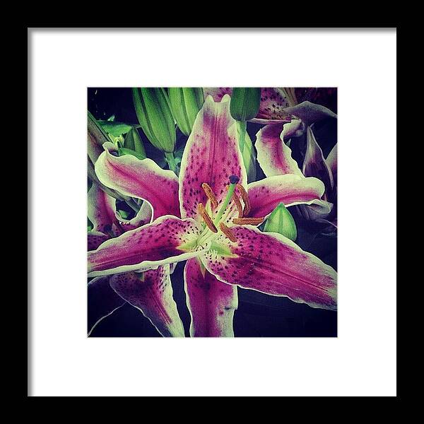 Pink Framed Print featuring the photograph #flower #pink #pretty #spring #pattern by Bex C