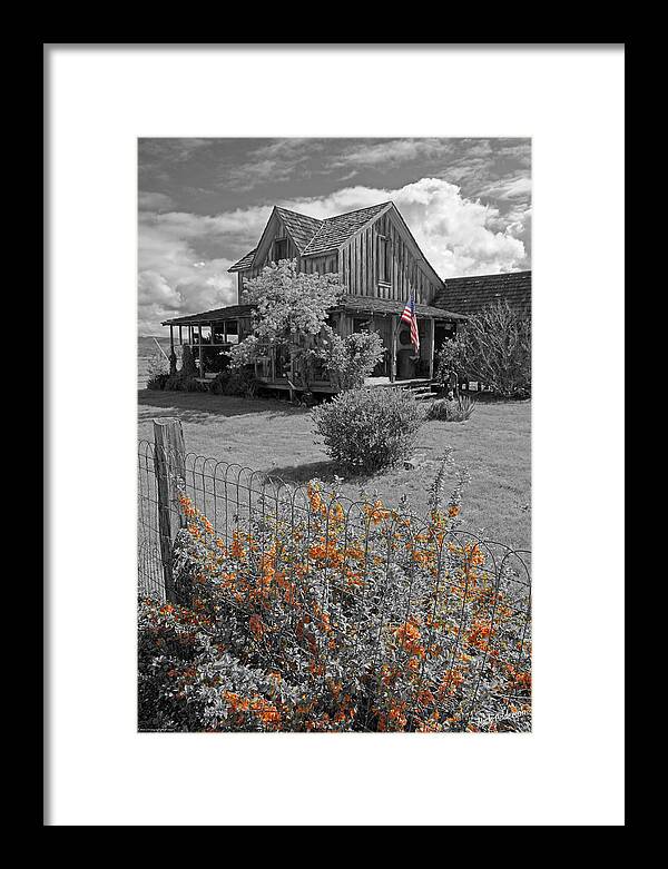 Special Effect Framed Print featuring the photograph Flowers and A Flag by Mick Anderson