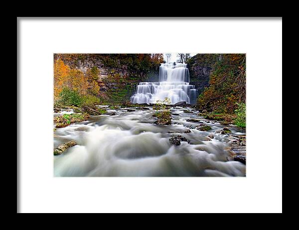 everything In The Universe Has A Purpose. Indeed Framed Print featuring the photograph Flowing by Mitch Cat