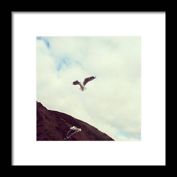 Beautiful Framed Print featuring the photograph Fly Away by Fernanda Fontenelle