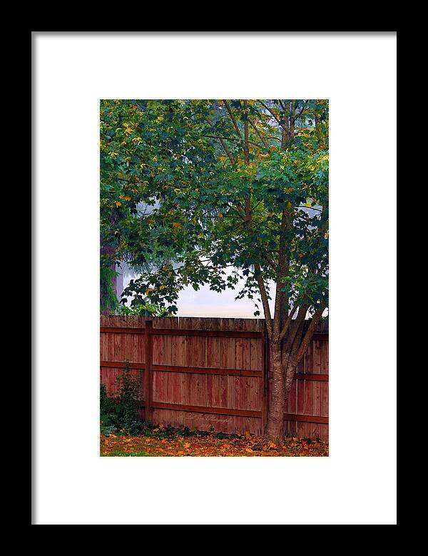 Wood Framed Print featuring the photograph Fog In Olympia by Jeanette C Landstrom
