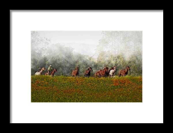 Equestrian Framed Print featuring the photograph Foggy Morning by Susan Candelario