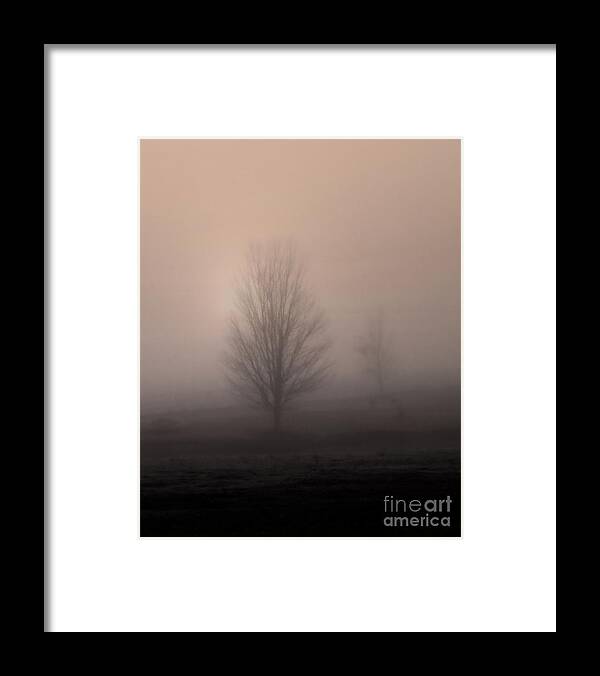 Landscape Framed Print featuring the photograph Foggy Pasture by Deborah Smith