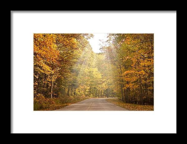 Woods Framed Print featuring the photograph Follow The Light by Cindy Haggerty
