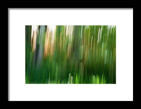 Green Framed Print featuring the photograph Forest - Abstract by ShaddowCat Arts - Sherry