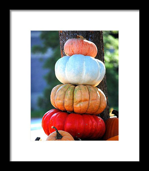 Autumn Framed Print featuring the photograph Four Pumpkins by Jai Johnson