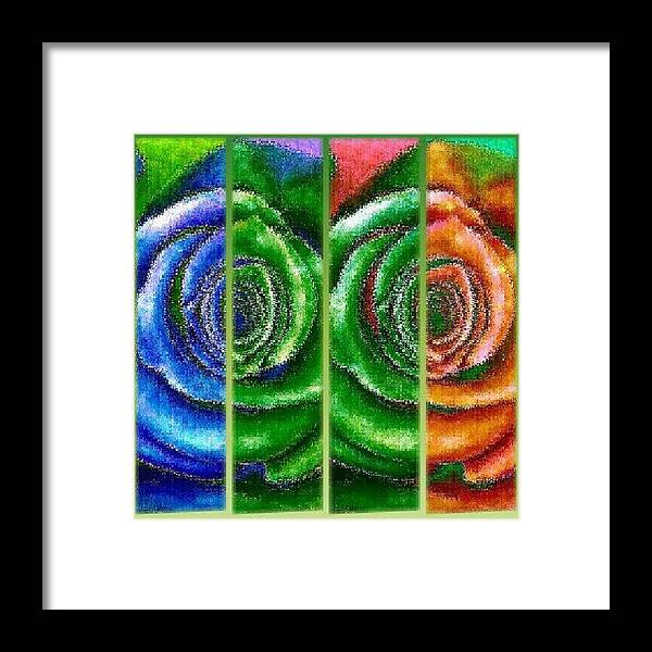 Purple Framed Print featuring the photograph Four Rose split by Mandi Ward
