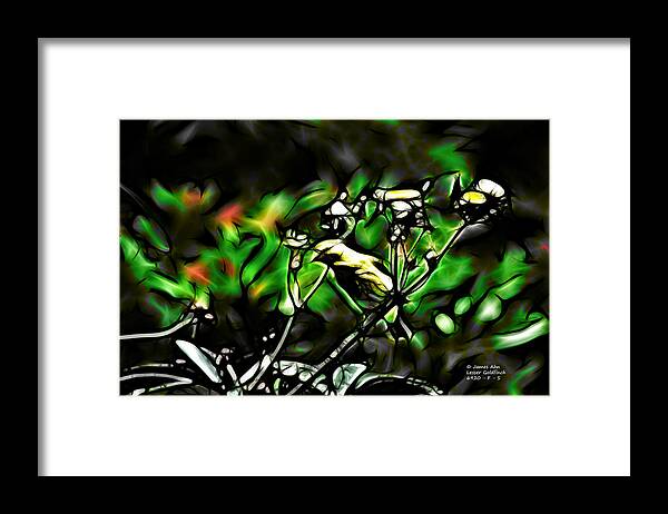 Lesser Goldfinch Framed Print featuring the digital art Fractal S - Take a Look - Lesser Goldfinch by James Ahn
