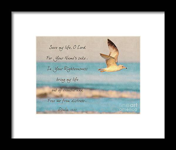 Bird Painting Framed Print featuring the painting Freedom Flight by Constance Woods