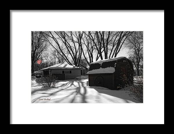 Winter Framed Print featuring the photograph Freedom From Winter by Donna Blackhall