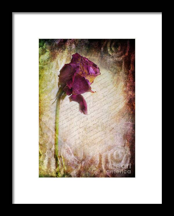 Yhun Suarez Framed Print featuring the photograph French Rose by Yhun Suarez
