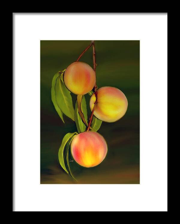 Portrait Framed Print featuring the photograph Fresh fruit by Sami Martin