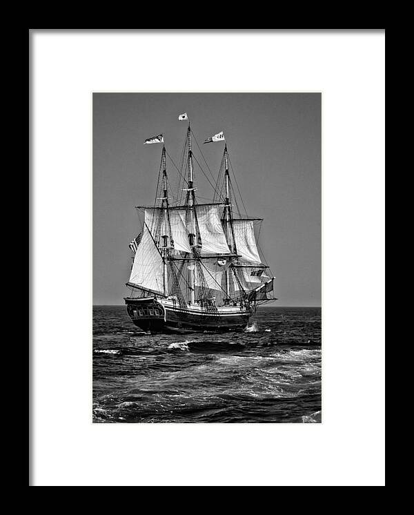 Black And White Framed Print featuring the photograph Friendship by Fred LeBlanc