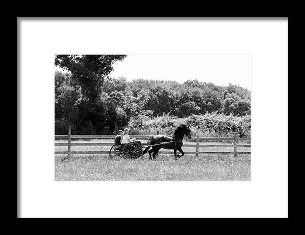 Friesian Horse Framed Print featuring the photograph Friesian in Motion by Kim Galluzzo