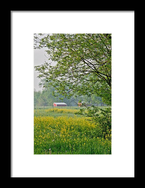 Wildflowers Framed Print featuring the photograph From a distance by Kelley Nelson