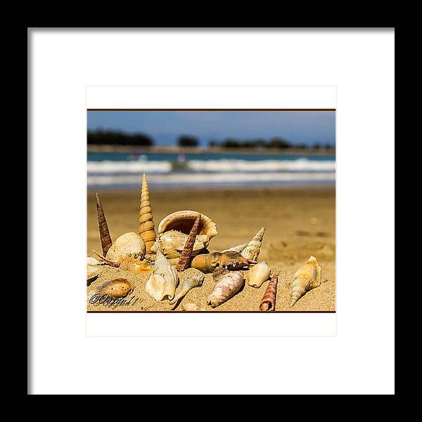 Cute Framed Print featuring the photograph From Today's Trip To Pantai Tungku by Ahmed Oujan