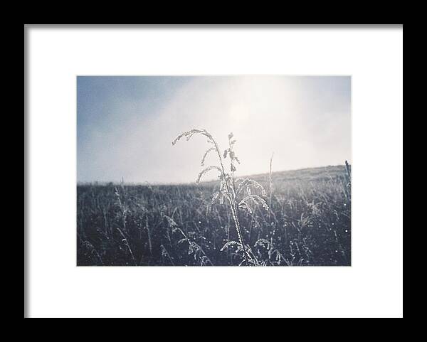 Frost Framed Print featuring the photograph Frozen In Time by Trent Mallett