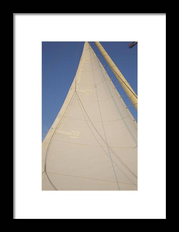 Sailboat Framed Print featuring the photograph Full Sail by Allan Morrison