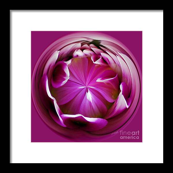 Abstract Framed Print featuring the photograph Fuschia by Sami Martin