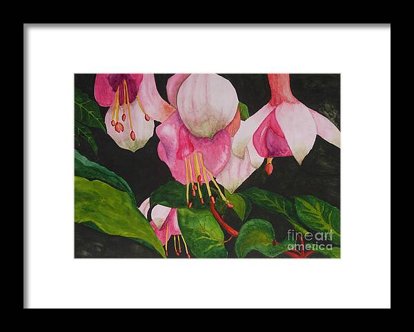 Fuschia Flower Framed Print featuring the painting Fuschia Pink Passion by Kimberlee Weisker