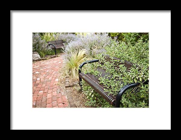 Bench Framed Print featuring the photograph Garden Bench by Melany Sarafis