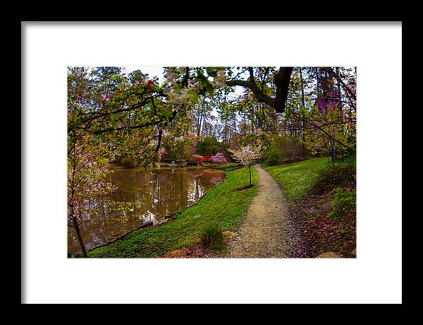 Path Framed Print featuring the photograph Garden Bridge by Gene Hilton