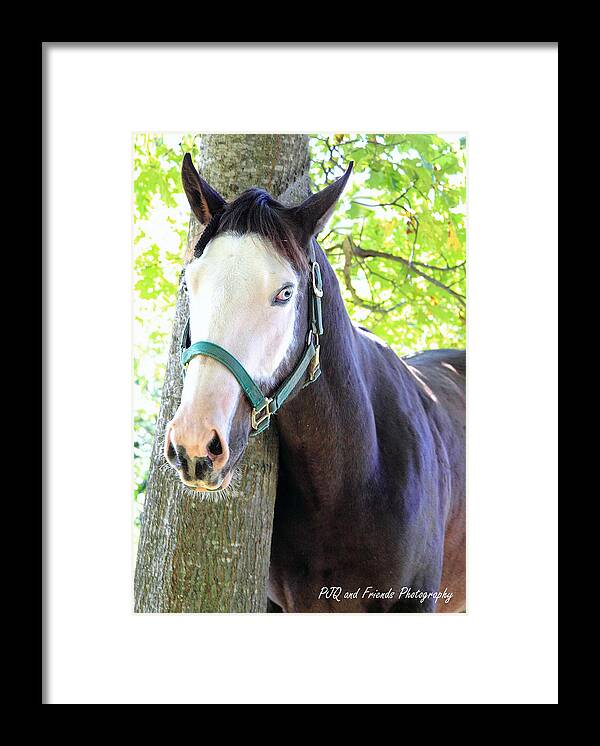  Framed Print featuring the photograph 'Ghostface' by PJQandFriends Photography