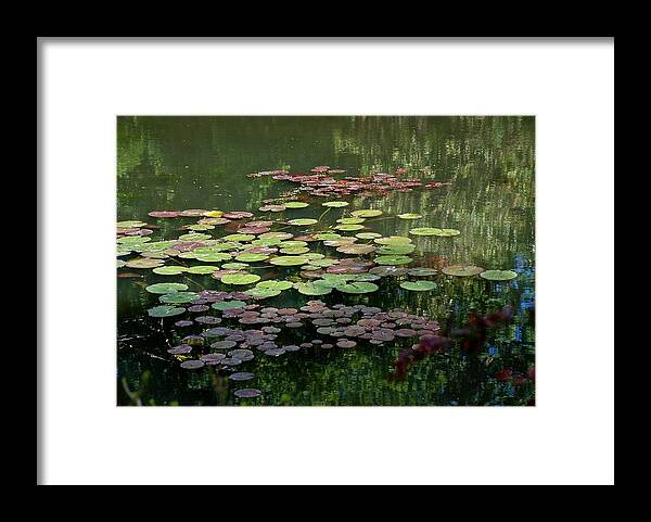 Lily Pads Framed Print featuring the photograph Giverny Lily Pads by Eric Tressler