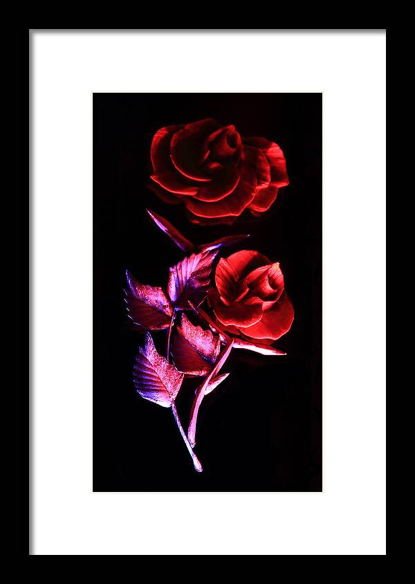 Rose Framed Print featuring the photograph Glowing Glass Rose by Shane Bechler