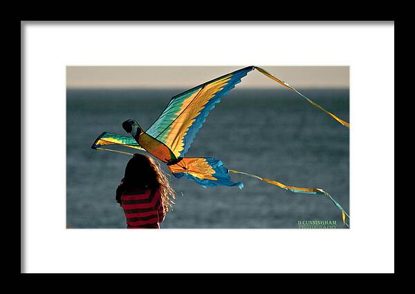 Kite Framed Print featuring the photograph Go Fly A Kite by Dorothy Cunningham