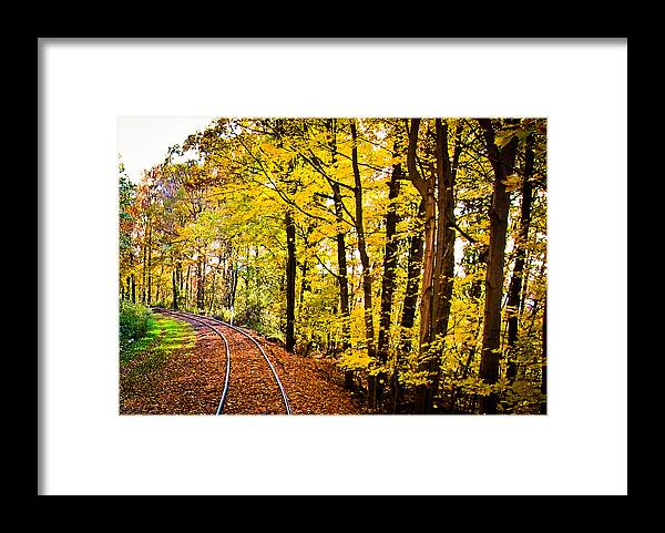 Train Photo Framed Print featuring the photograph Golden Rails by Sara Frank