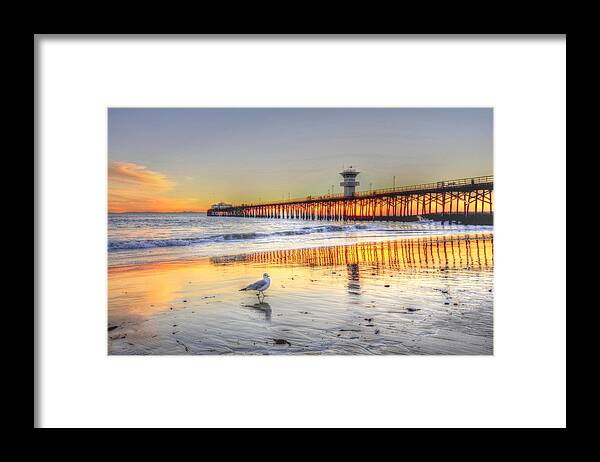 Sunset Framed Print featuring the photograph Golden Sunset with Bird by Richard Omura