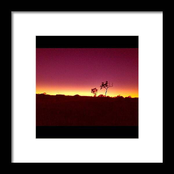100 Framed Print featuring the photograph Good Morning Sunshine ☀☀ by Lesley Asis