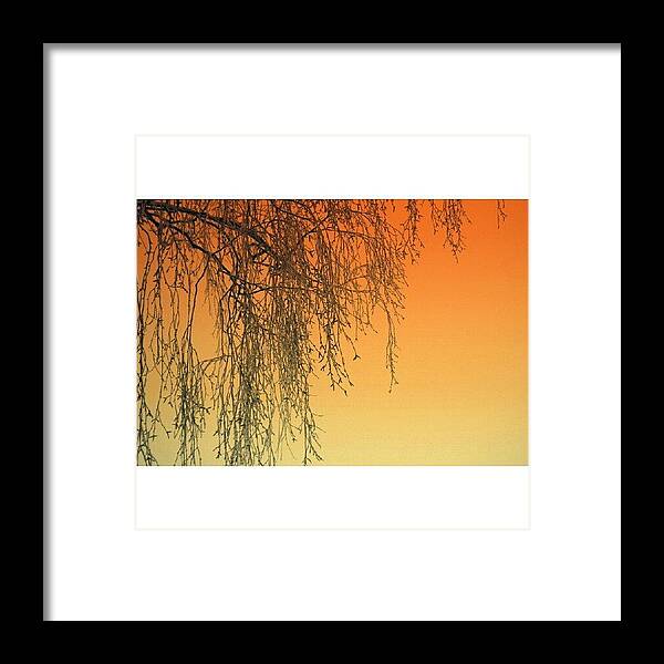 Beautiful Framed Print featuring the photograph Gradient II | Its My Birthday Today! 8> by Robin Hedberg