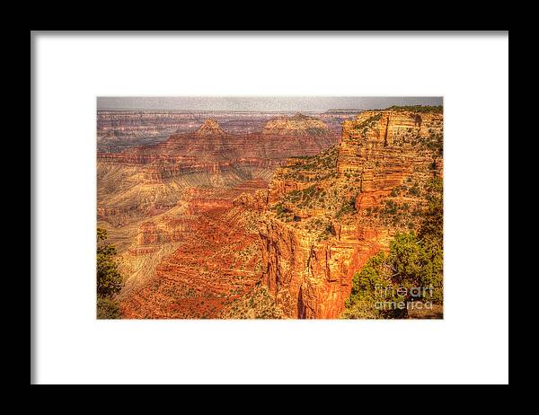 Grand Cyn Framed Print featuring the photograph Grand Canyon by Dennis Hammer